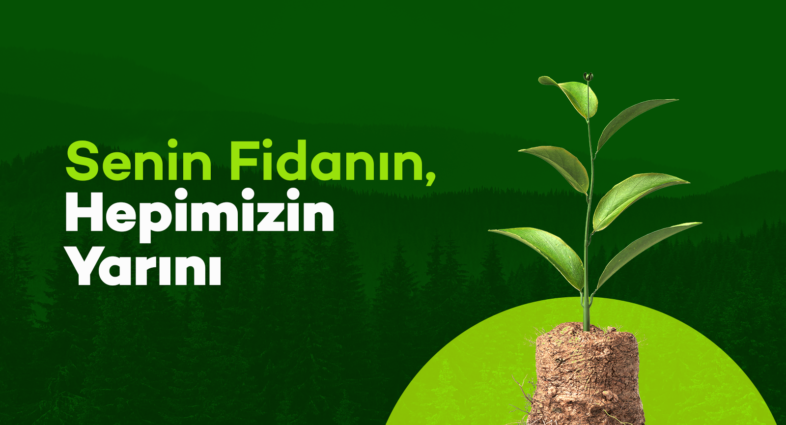 Fidan Kampanyası Saadet